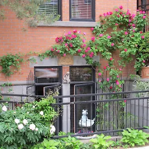 A Gem Downtown Homestay